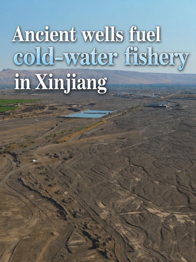 Ancient wells fuel cold-water fish farming in China's Xinjiang