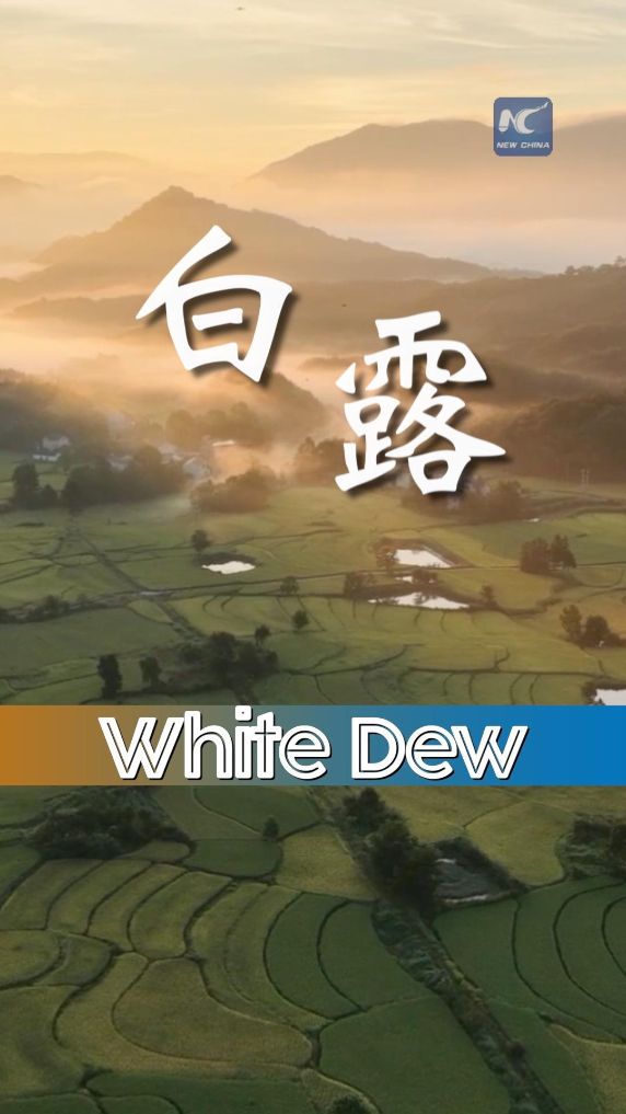 White Dew: when autumn turns crisp