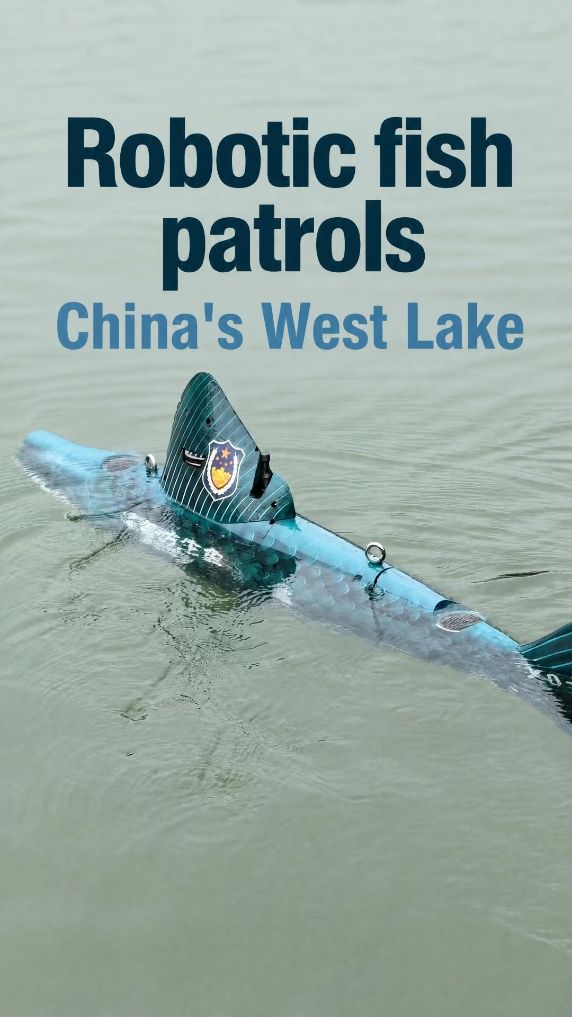 Robotic fish patrols China's West Lake