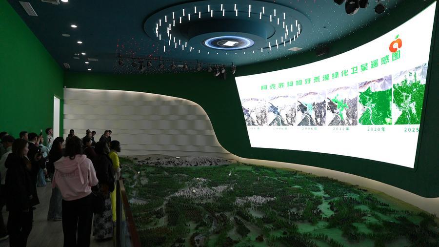 International visitors explore four decades of greening in Xinjiang's ...