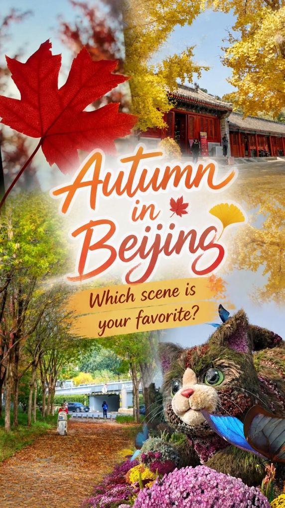 Autumn in Beijing: Which view steals your heart?