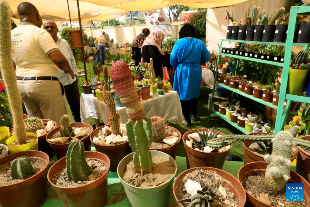 Cactus and succulent exhibition held in Khartoum, SudanXinhua