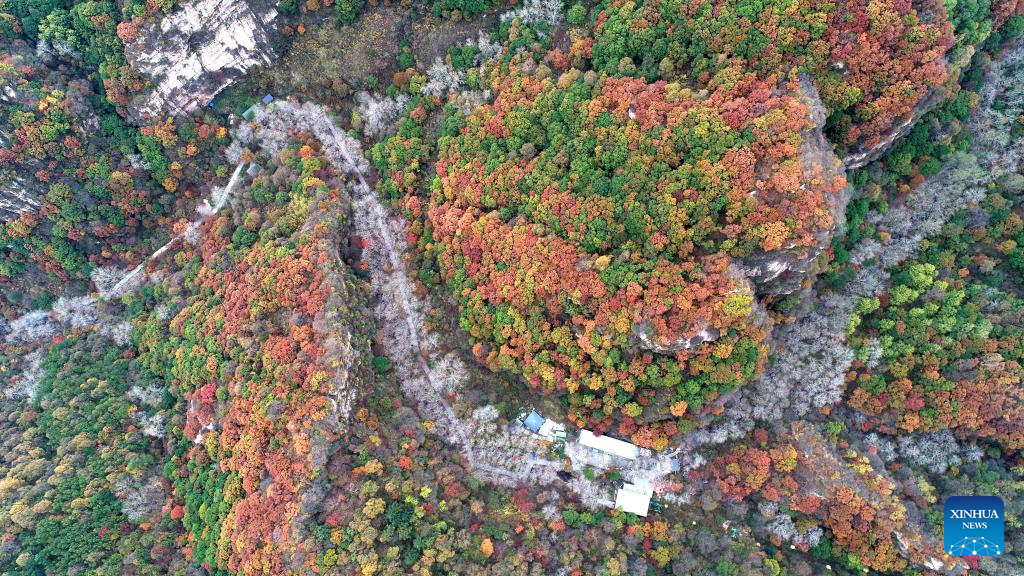 Autumn scenery across China-Xinhua