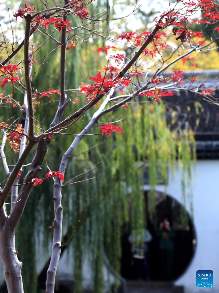 Autumn scenery across China-Xinhua