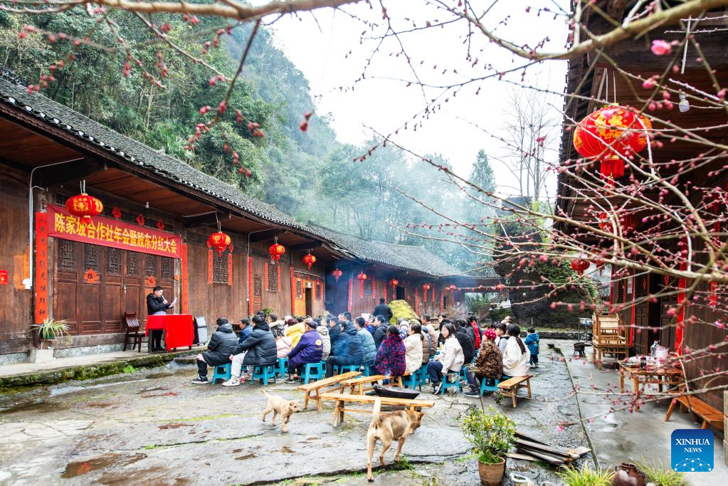 Young Chinese boost rural development-Xinhua