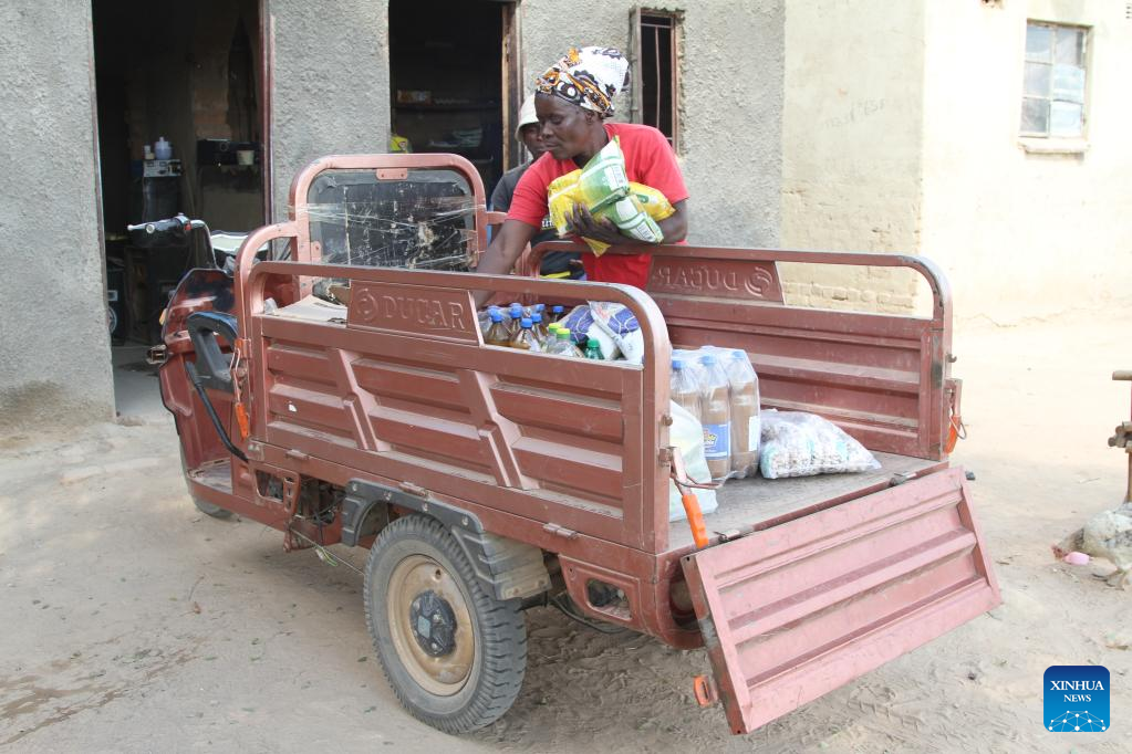 Feature: Zimbabwean woman makes trendy bags from recycled materials -  Xinhua