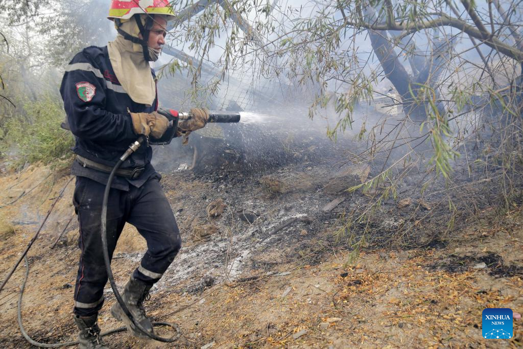 Death Toll From Algeria's Wildfires Rises To 34-Xinhua