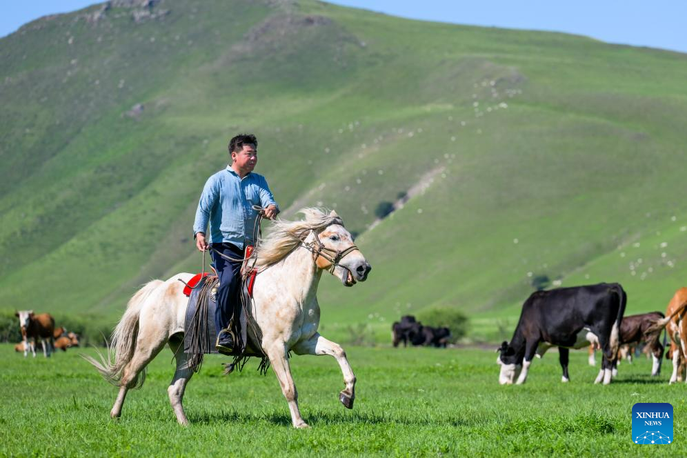 Pic story herdsman's summer life in Horqin Right Wing Front Banner, N