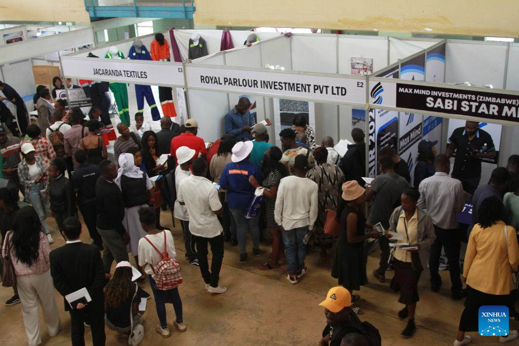 Chinese companies hold job fair for Zimbabwean youthXinhua