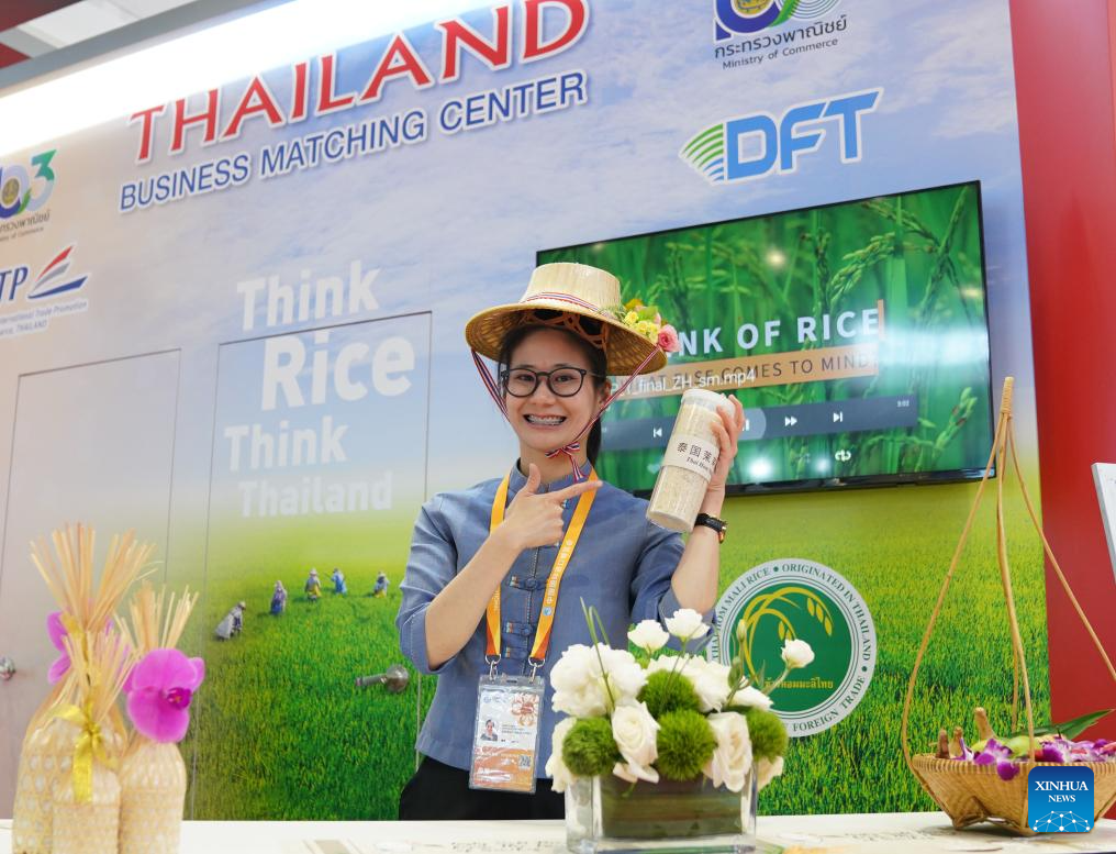 In pics: A close look at booths from various countries at 6th CIIE -Xinhua