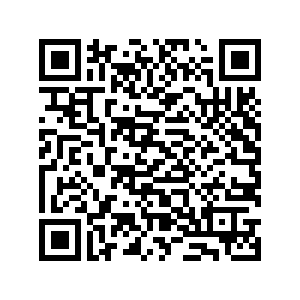 メジャー TMC Hitachi Zaxis 350LC Excavator 1/50 Scale DieCast Model