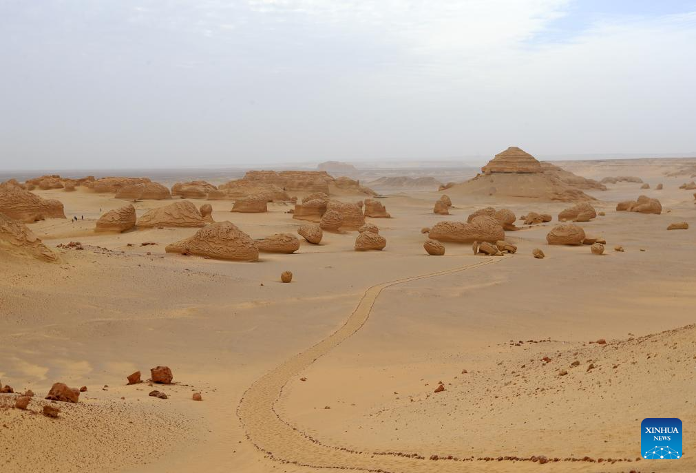 A glimpse of Whale Valley in Fayoum, Egypt-Xinhua