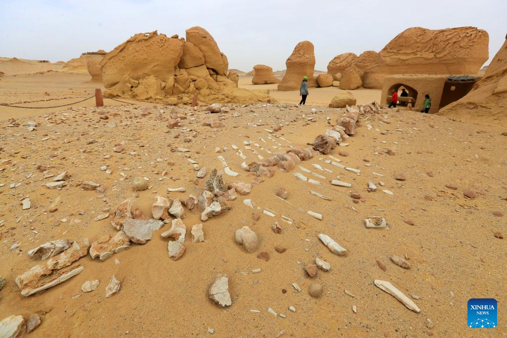 A glimpse of Whale Valley in Fayoum, Egypt-Xinhua