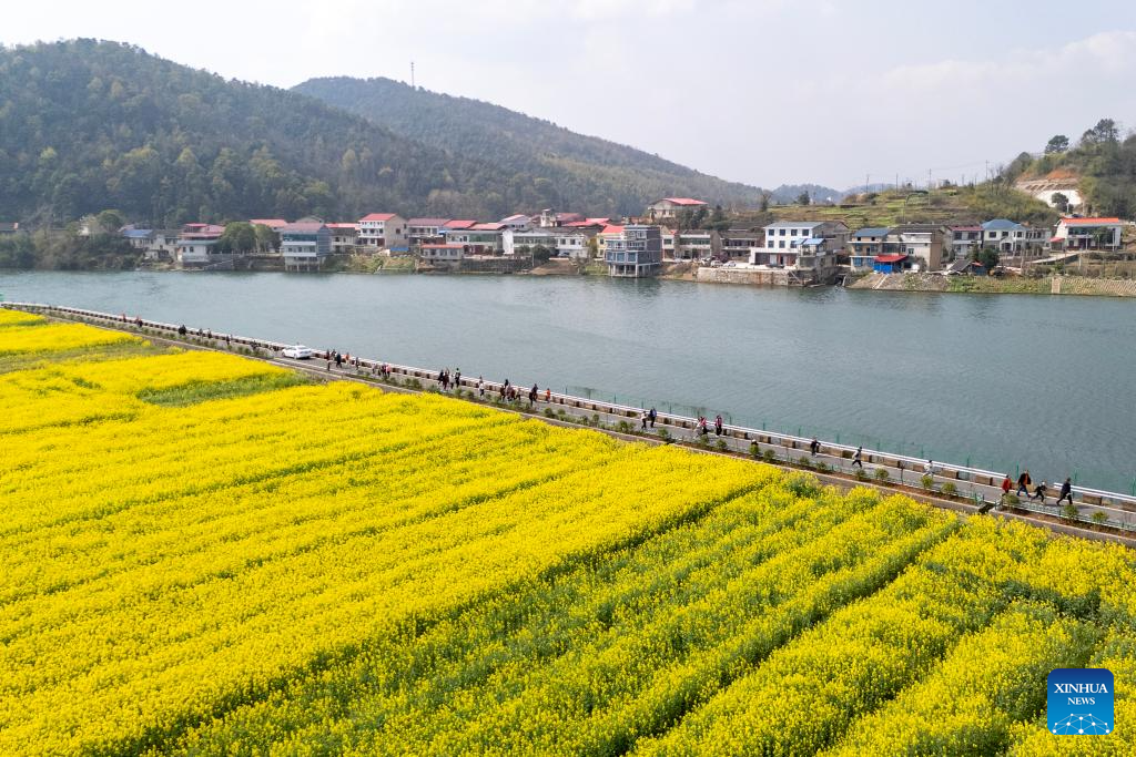 Spring scenery across China-Xinhua
