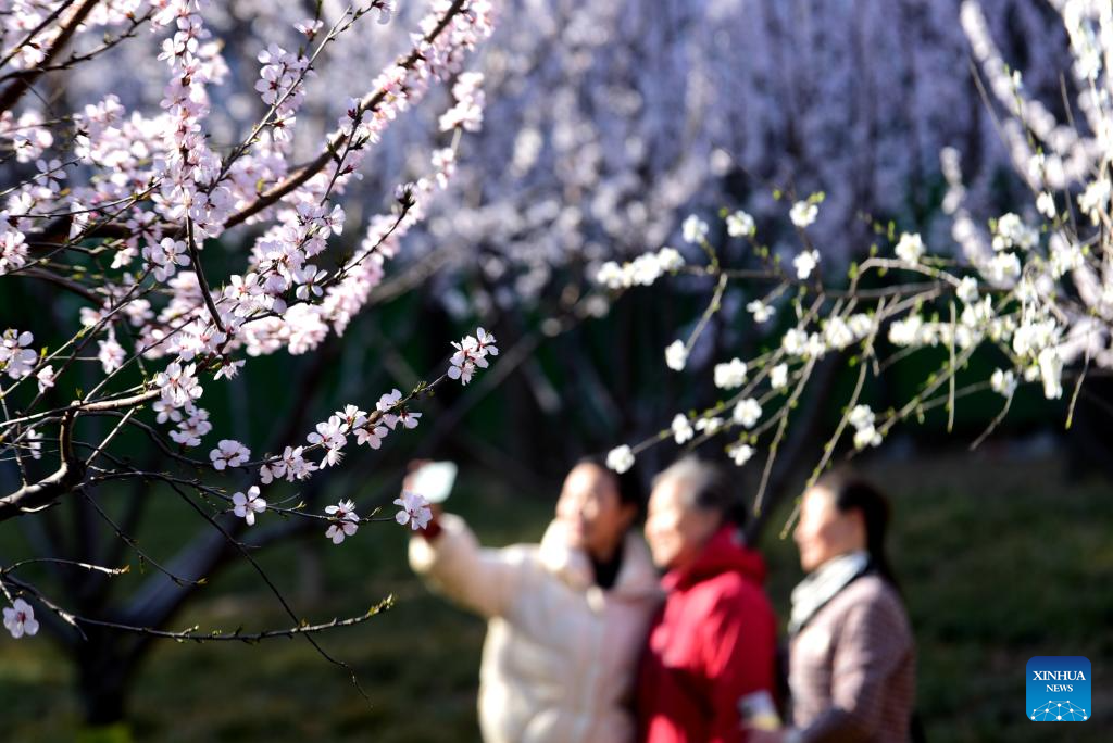 Spring scenery across China-Xinhua