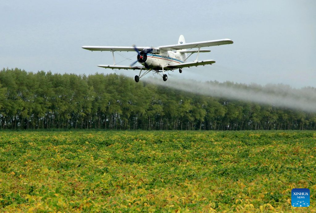 Aircraft, drones help ensure autumn grain harvest in China's ...