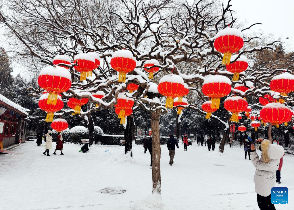 Snowfall hits Beijing-Xinhua