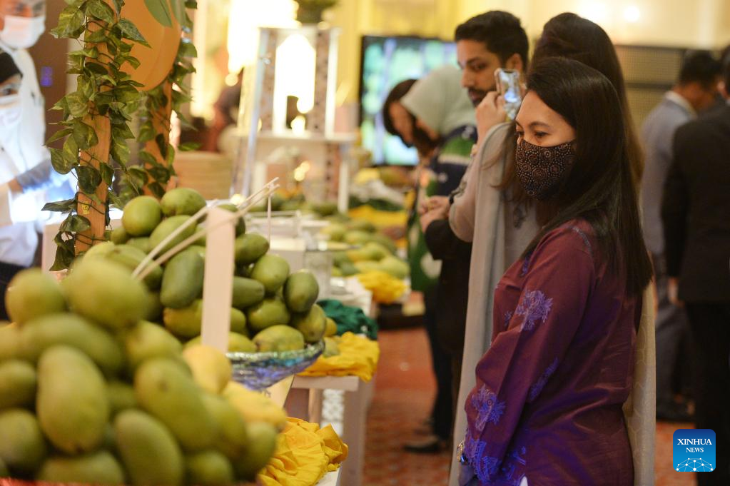 Pakistan organizes mango festival as part of its 75th anniversary