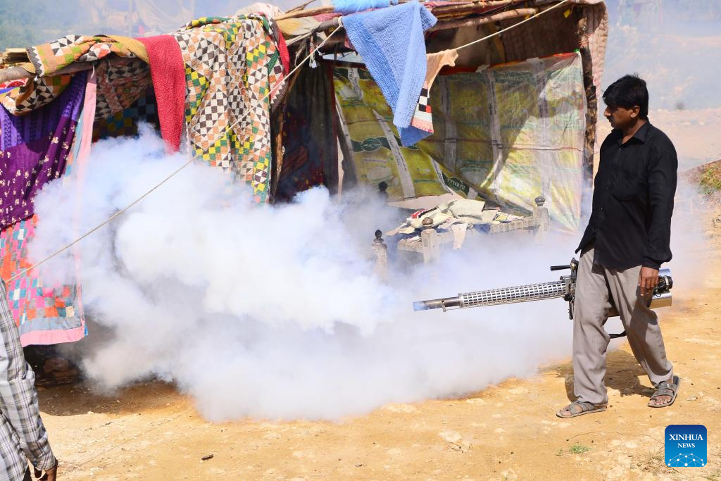 research articles on dengue fever in pakistan