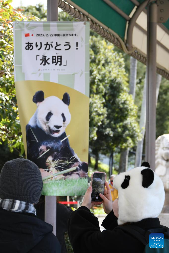 Japanese wave goodbye to three more pandas returning to China-Xinhua