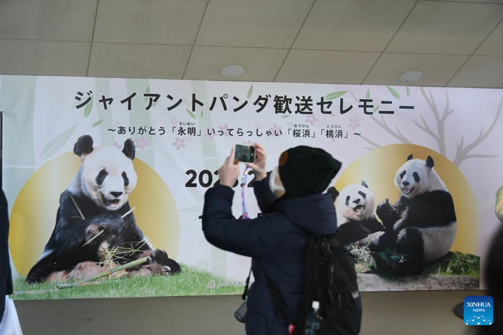 Japanese wave goodbye to three more pandas returning to China-Xinhua