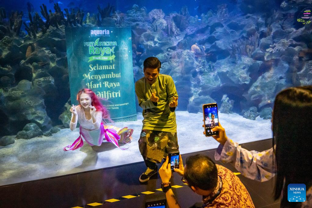 In pics mermaid performance at Aquaria KLCC in Kuala Lumpur, Malaysia