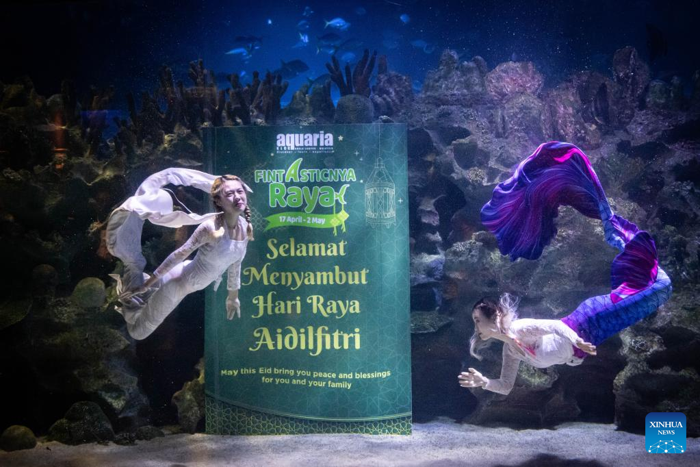 In pics mermaid performance at Aquaria KLCC in Kuala Lumpur, Malaysia