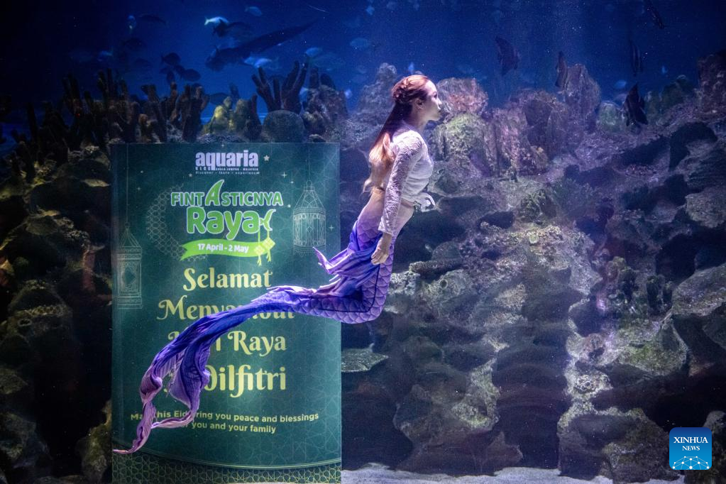 In pics mermaid performance at Aquaria KLCC in Kuala Lumpur, Malaysia