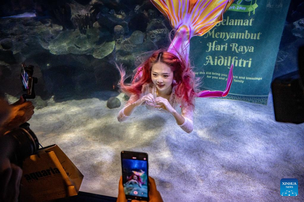 In pics mermaid performance at Aquaria KLCC in Kuala Lumpur, Malaysia