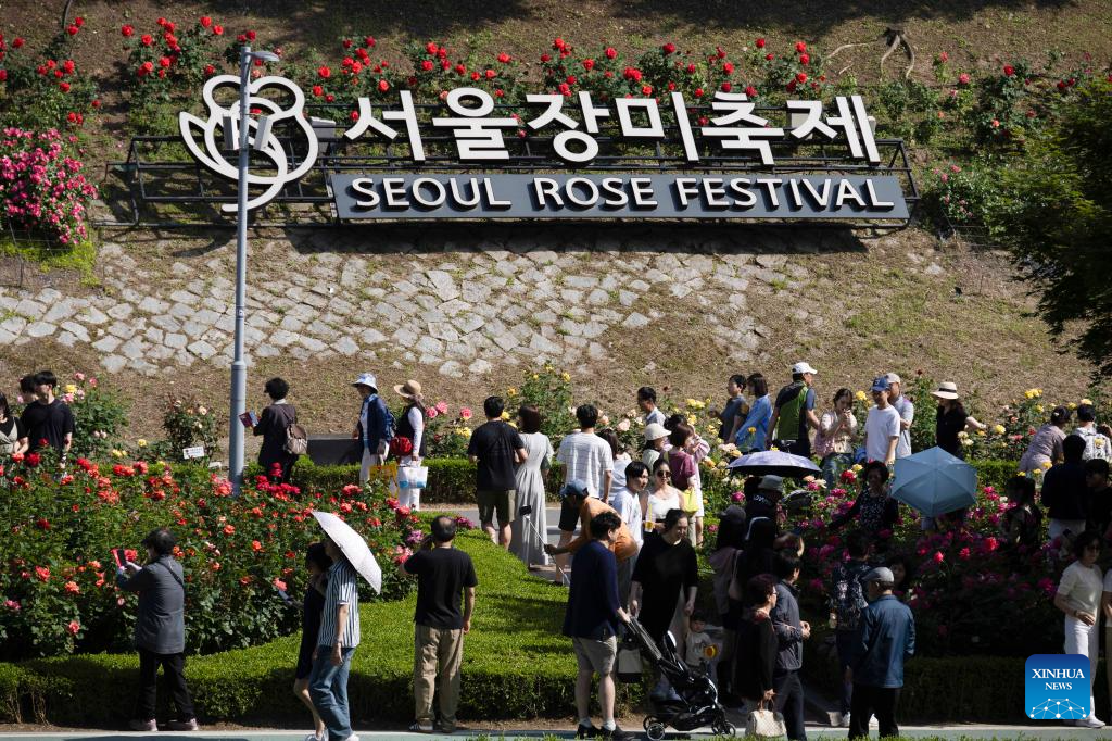 People enjoy flowers during Seoul Rose Festival in S. Korea-Xinhua