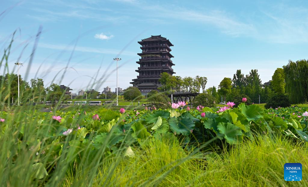 China's Hanzhong strengthens ecological protection of Hanjiang River's ...