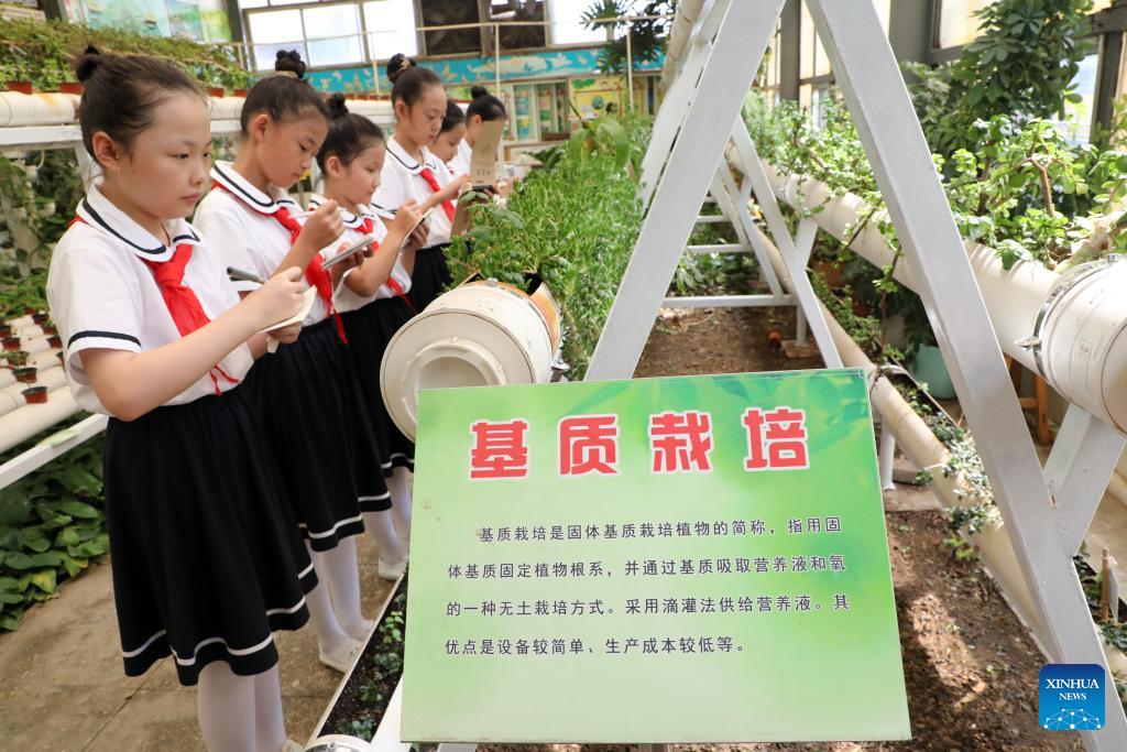 Schools across China host activities to mark start of new semester-Xinhua