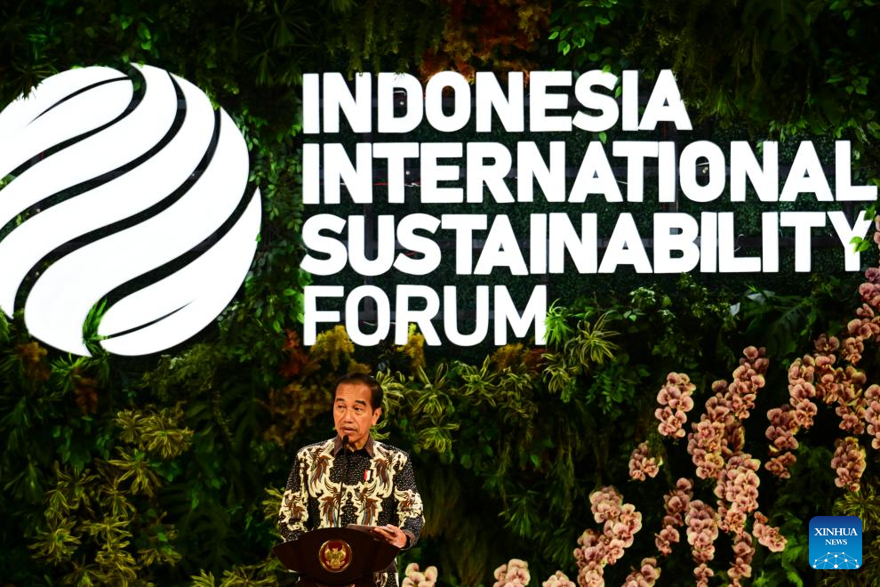 Indonesia serukan kolaborasi global untuk transisi energi hijau-Xinhua