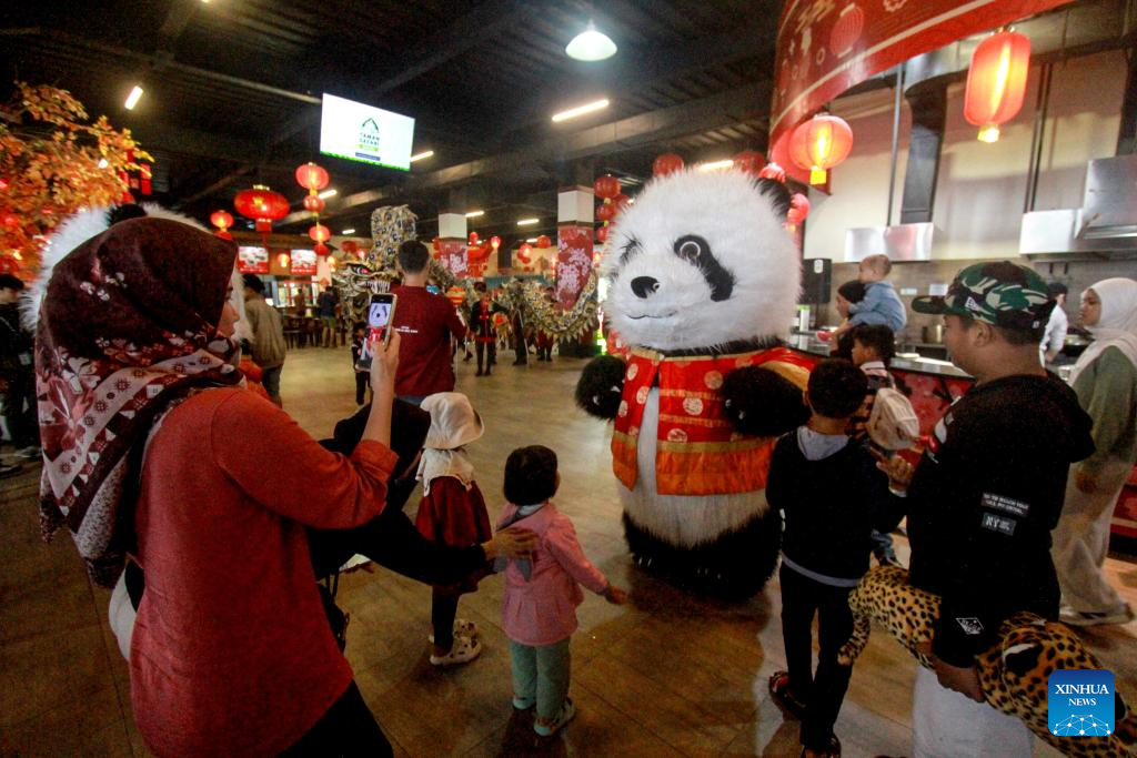 chinese new year panda