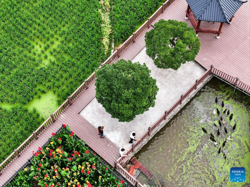 Rural living environment improved in China's Guizhou-Xinhua