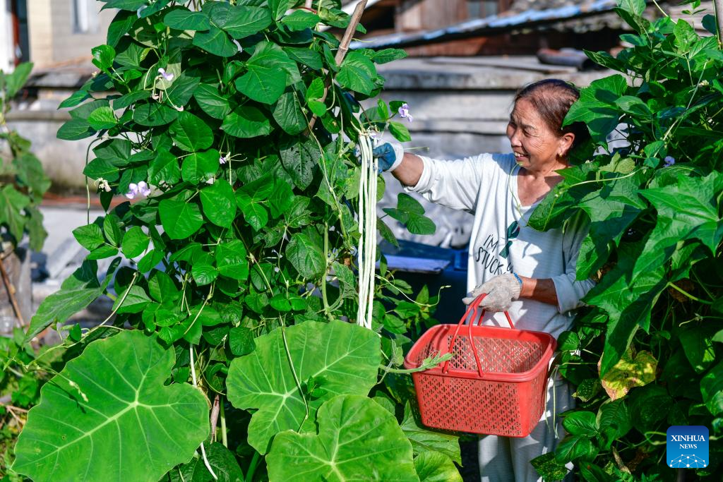 Rural living environment improved in China's Guizhou-Xinhua