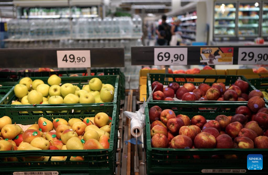 Czech inflation rises for 12th consecutive month, hits 17.2 pct in June