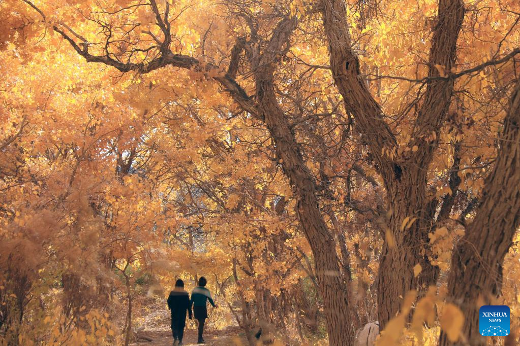 Autumn scenery across China-Xinhua