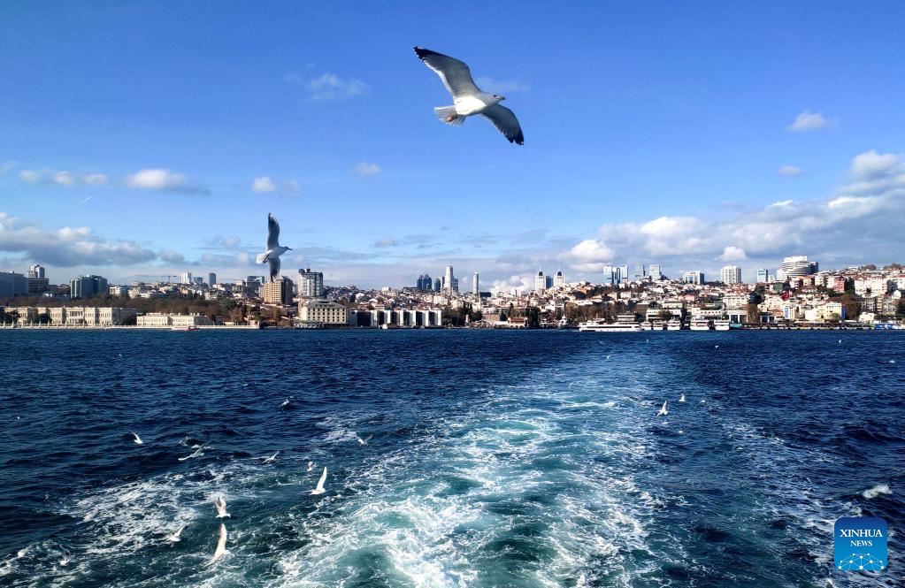 View Of Bosporus Strait In Istanbul T Rkiye Xinhua