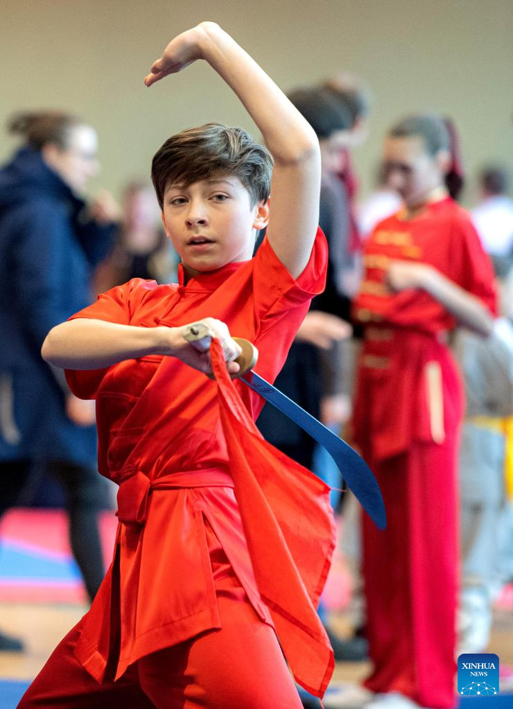 Chinese martial arts show delights Bucharest fans - Xinhua