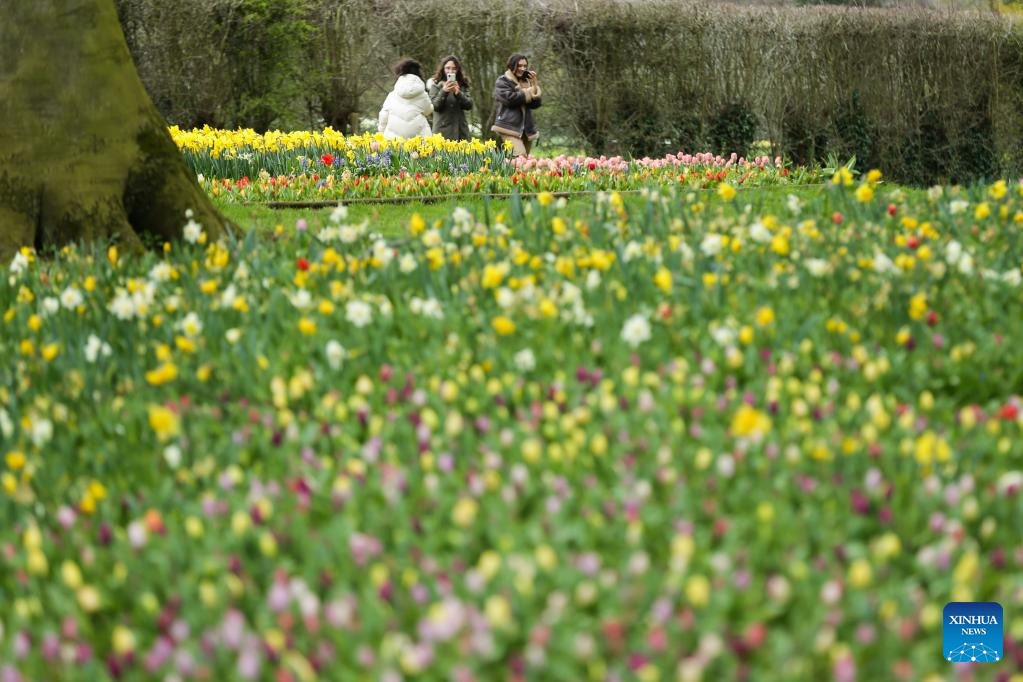 Floralia Brussels 2023 held in Dilbeek, Belgium-Xinhua