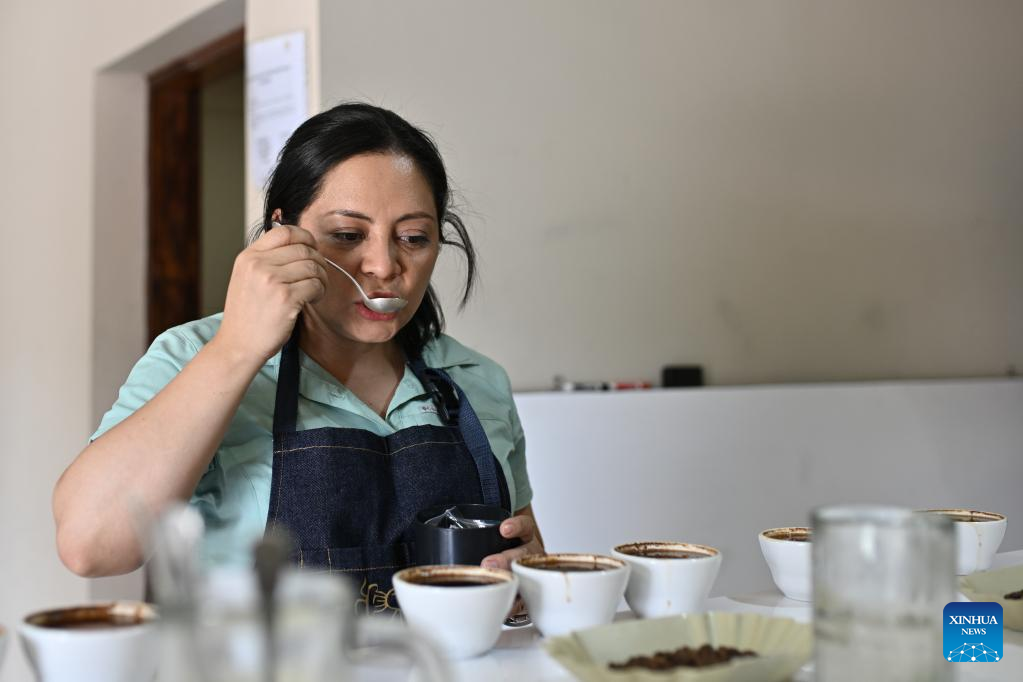 In pics coffee industry of HondurasXinhua