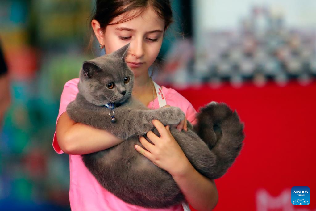 Int'l Feline Beauty Contest Held In Bucharest, Romania-Xinhua