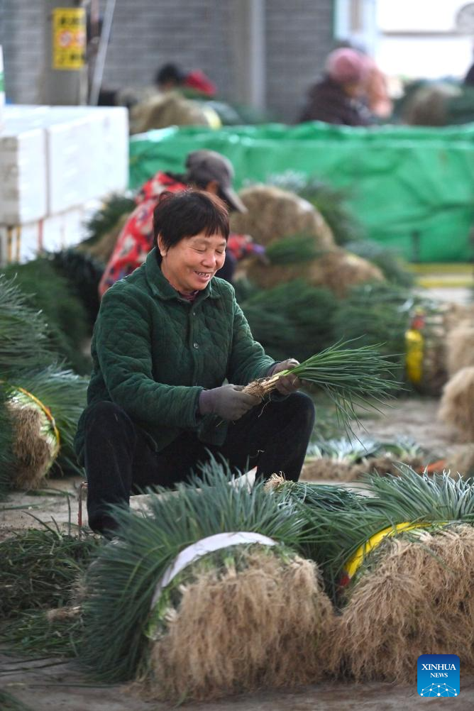 Local characteristic agriculture provides more jobs for rural women in ...