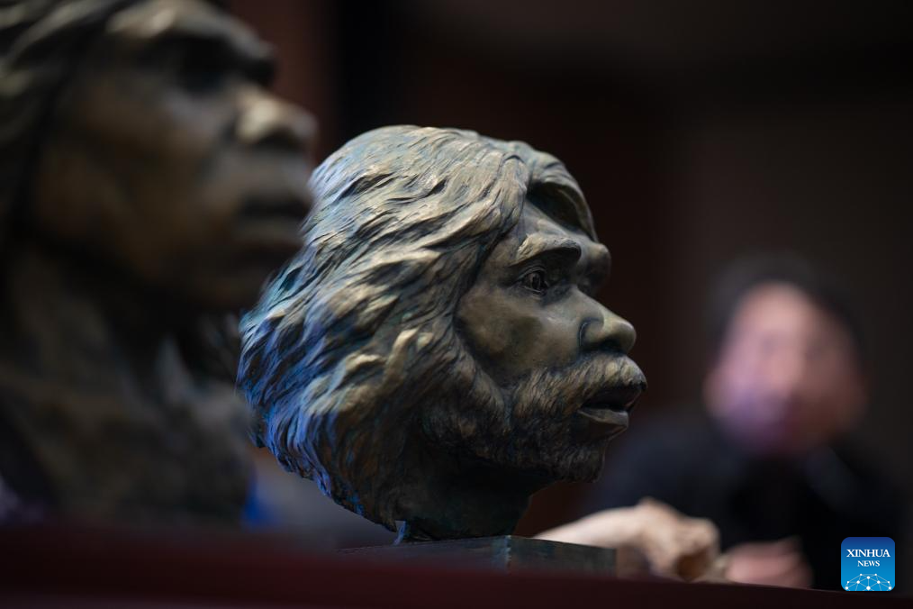 Restored fossil human skulls unveiled by Hubei Provincial Museum in ...