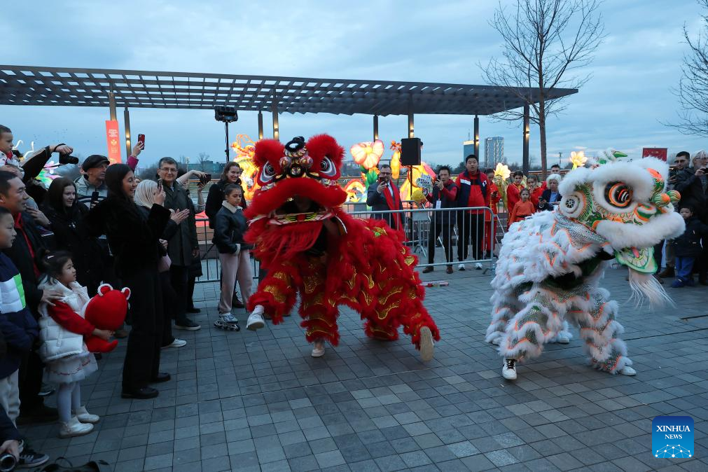 chinese new year performance