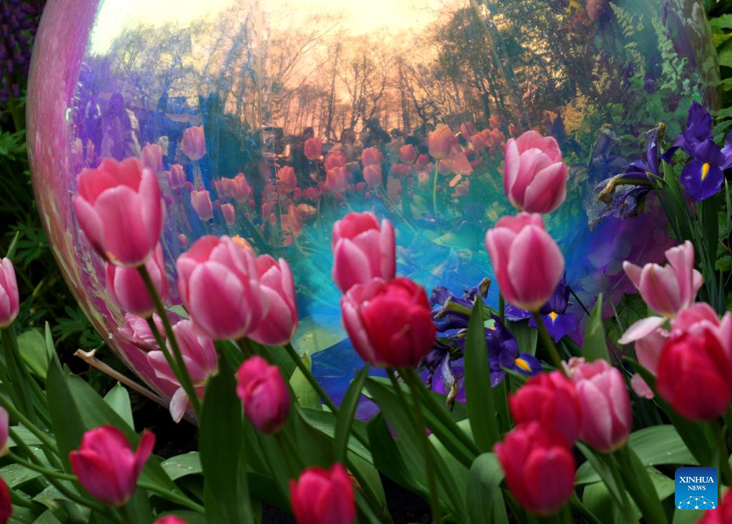 Spring scenery across China-Xinhua