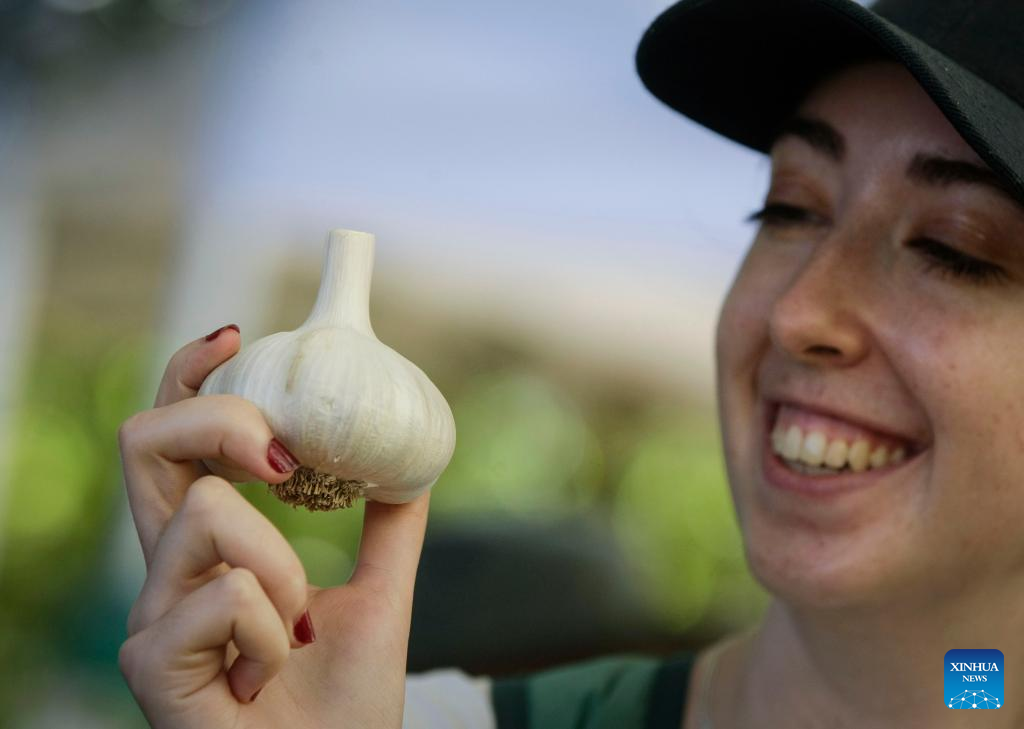 Annual Richmond Garlic Festival held in Richmond, CanadaXinhua