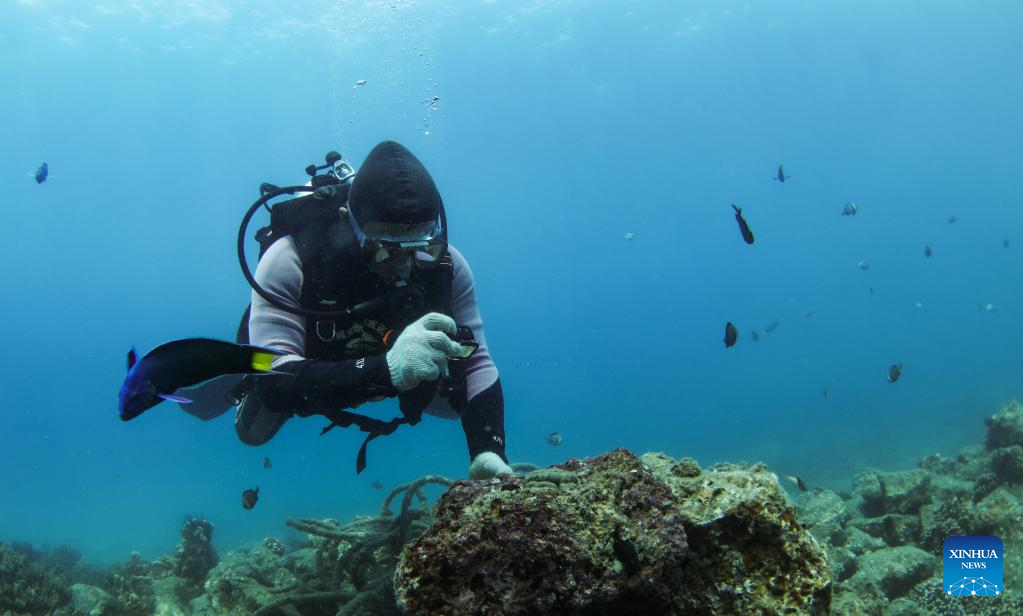 Pic story of front-line worker committed to marine environmental ...