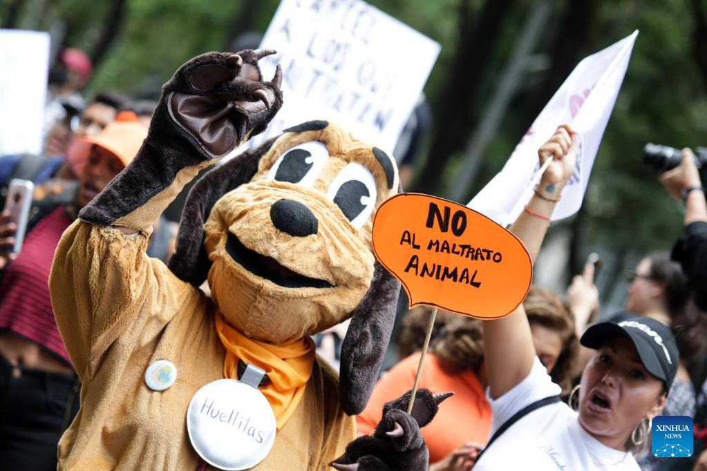 Rally for animal protection held in Mexico-Xinhua